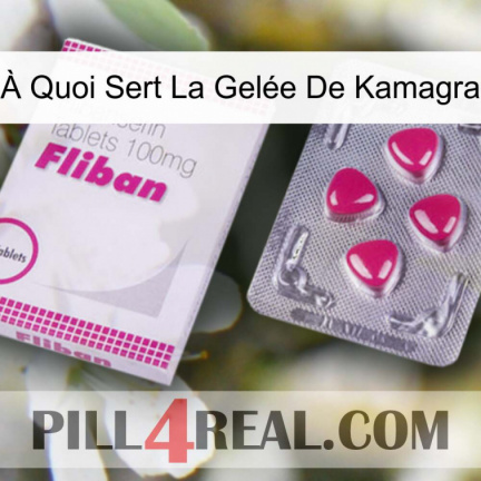 À Quoi Sert La Gelée De Kamagra 32